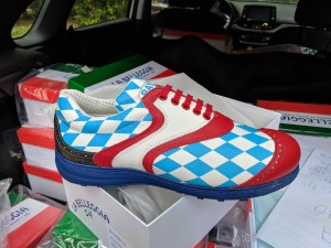 Bayern Modell Silvia